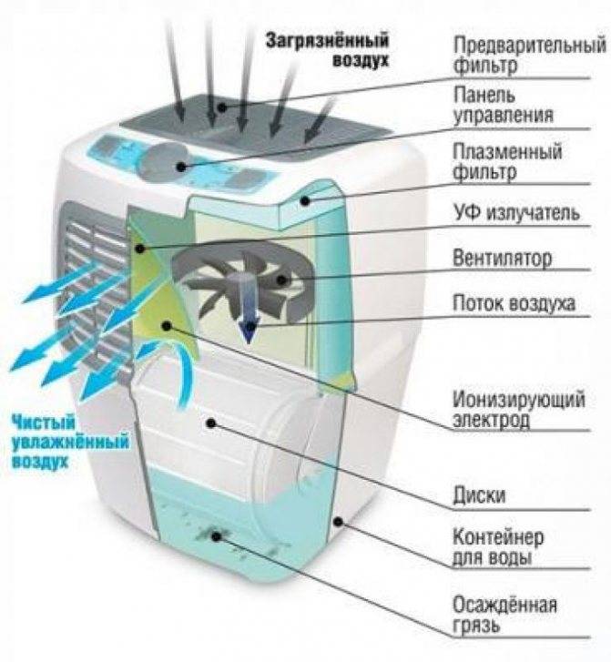Ионизатор: польза и вред очистки воздуха - домострой - info.sibnet.ru