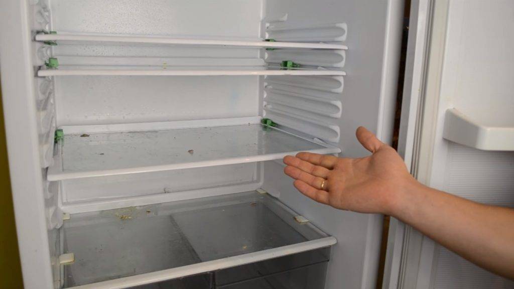 Как избавиться от плесени в холодильнике самостоятельно