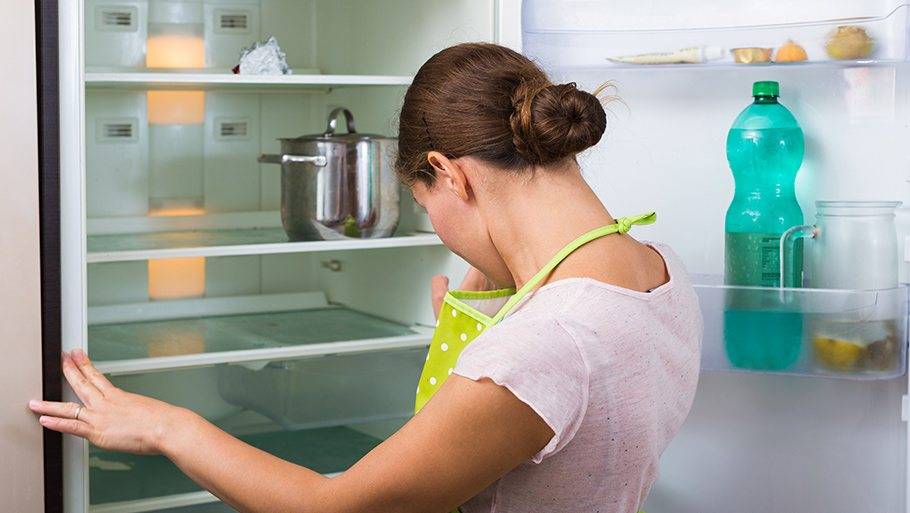 Почему появляется плесень в холодильнике и как от неё избавиться