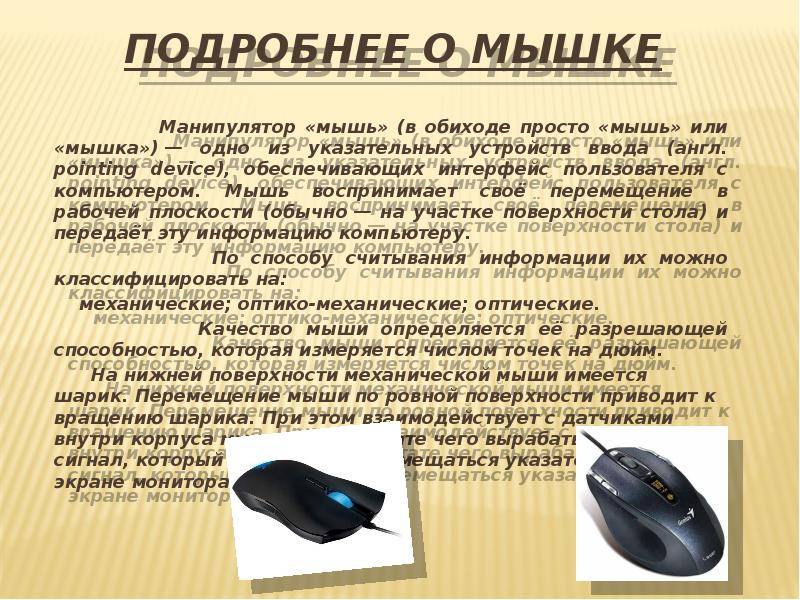 Первая компьютерная мышь: когда появилась и как выглядела – удивительные факты