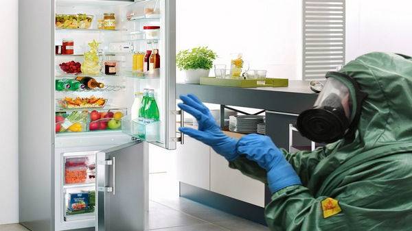 Плесень в холодильнике: что делать, как избавиться?
