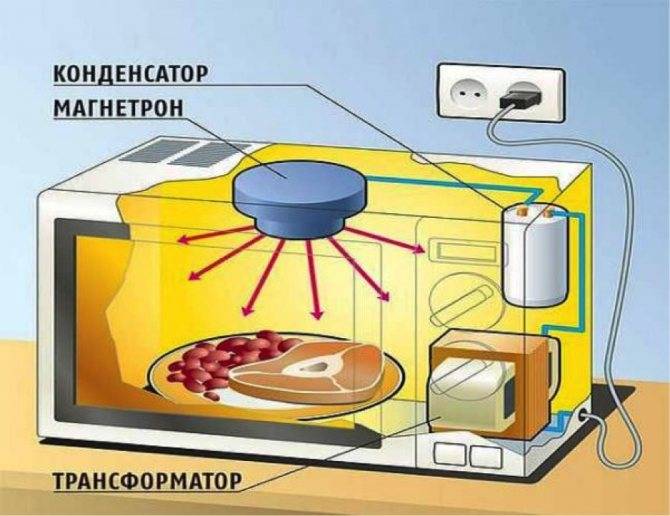 Какую посуду можно ставить в микроволновку и как её выбрать