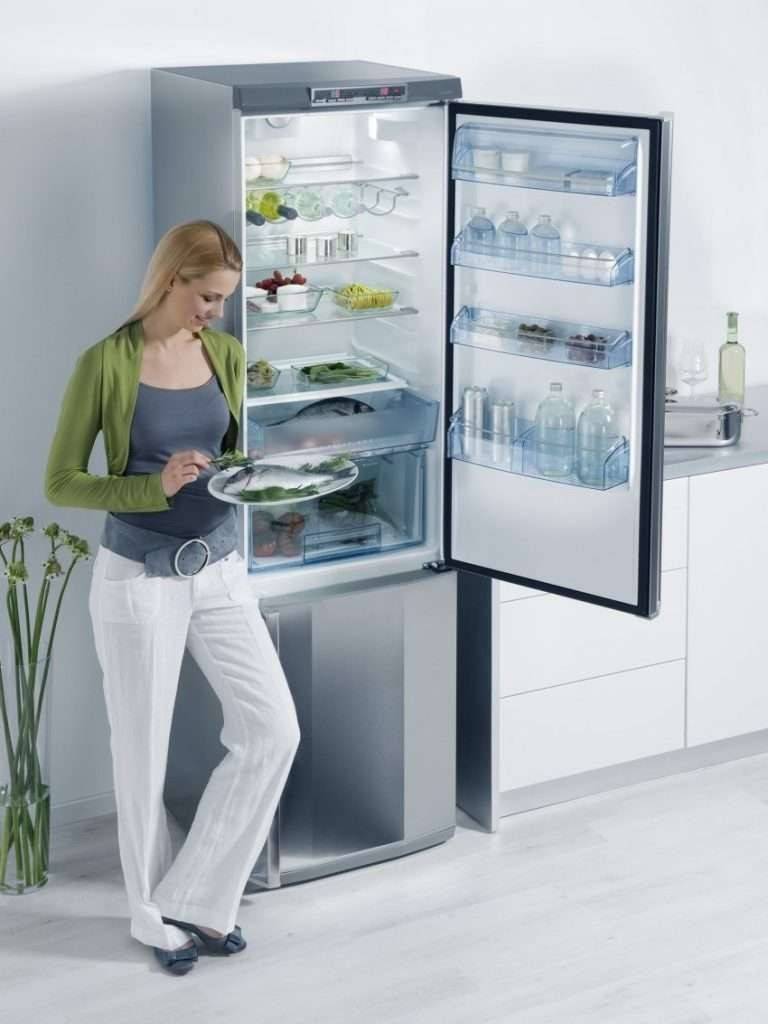 Какой холодильник лучше: ноу-фрост или капельный: плюсы и минусы, полезные советы при выборе, что такое капельное авторазмораживание?