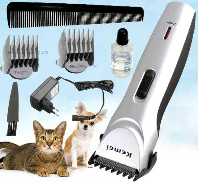 Можно ли кошку подстричь обычной машинкой. как выбрать лучшую машинку для стрижки кошек и собак