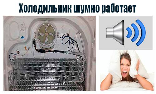 Почему шумит или гудит вентилятор в холодильнике ноу фрост