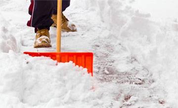 Минитехника для уборки снега: виды и особенности использования мини снегоуборщиков