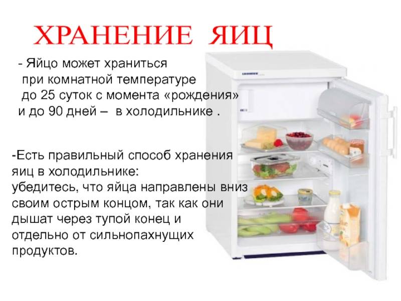 Что такое режим «отпуск» в холодильнике