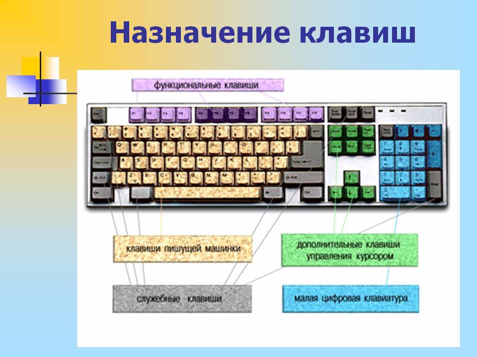 Назначение клавиш компьютера или ноутбука для начинающих