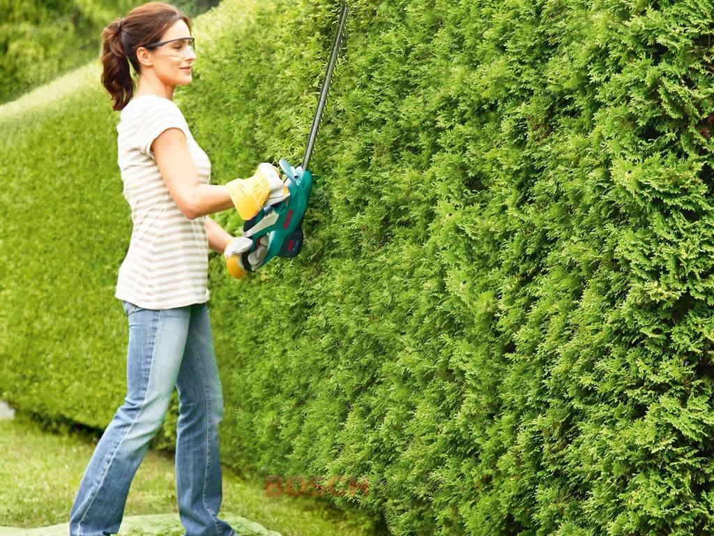 Топ-16 лучших кусторезов на 2021 год