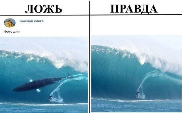 Стоматология: мифы и правда