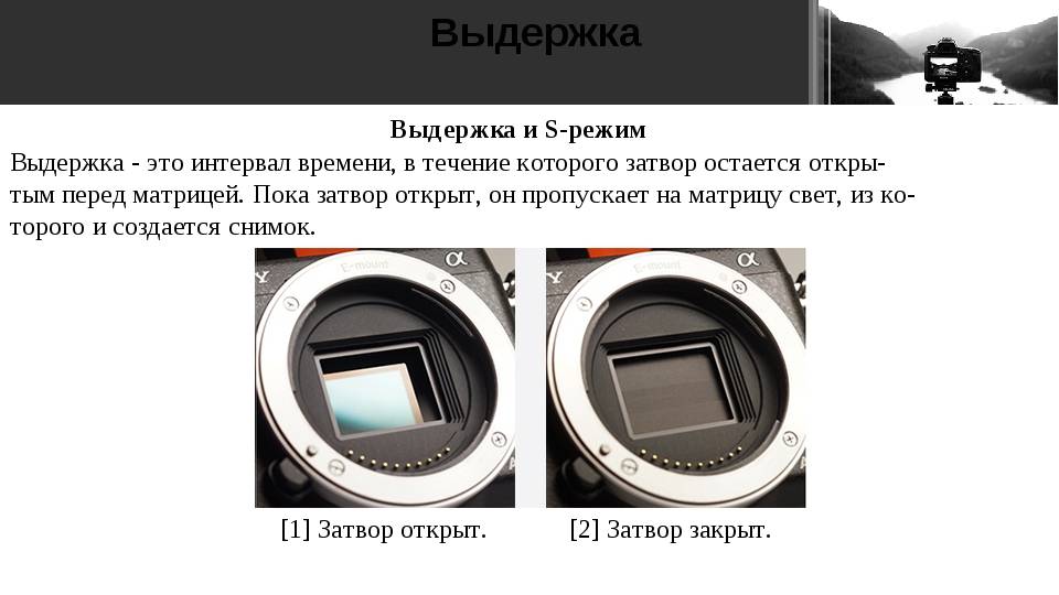 В фотоаппарате используется изображение в фотоаппарате используется изображение