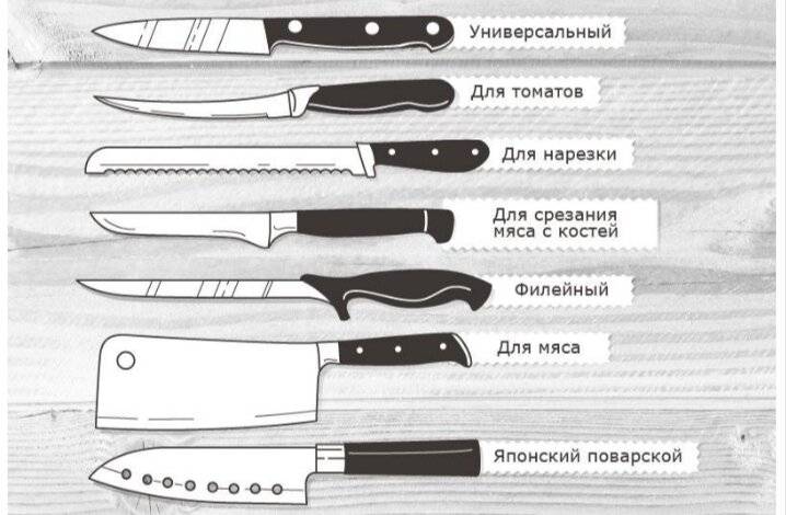 Виды кухонных ножей [фото и инфографика] — все разновидности кухонных ножей и их назначение