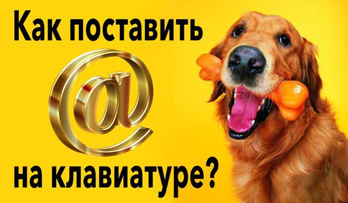 Как поставить собаку на ноутбуке?