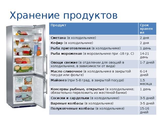 Правильно храним продукты в холодильнике
