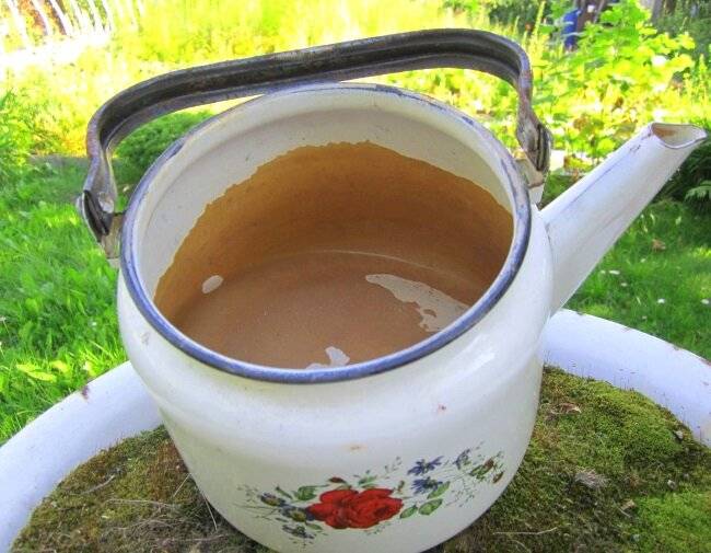 Газированная вода в чайник. Накипь в чайнике. Эмалированный чайник с накипью. Накипь в эмалированном чайнике. Вода в чайнике.