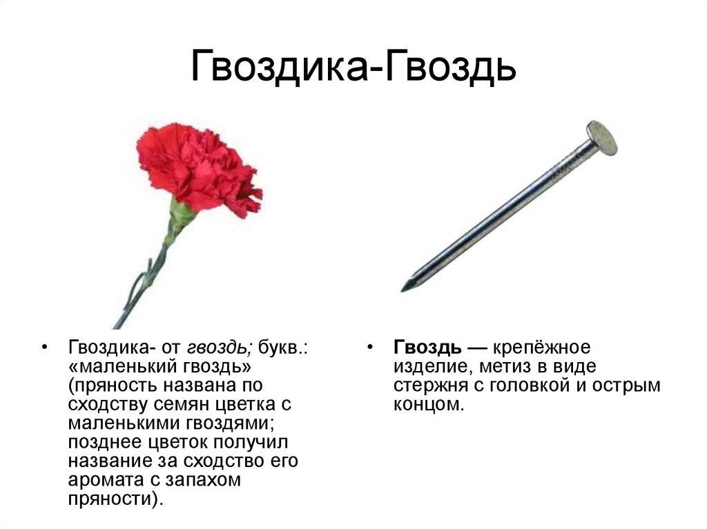 Виды гвоздей в строительной промышленности