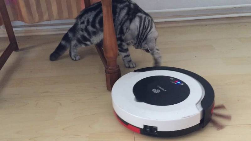 Как работает робот пылесос: устройство и принципы уборки