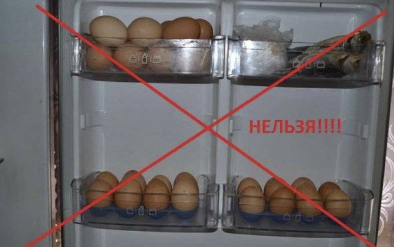 Как хранить яйца без холодильника: 9 способов хранения, сроки годности | sovetguru