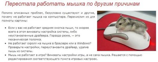Лагает и зависает курсор мыши в windows 10: что делать?