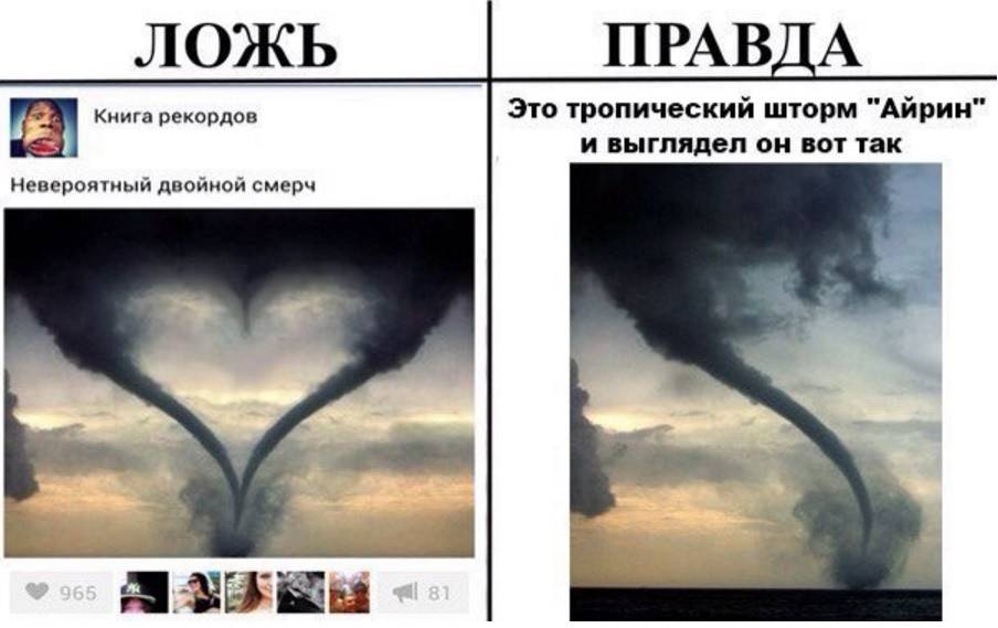 Правда или ложь: 7 мифов о «жизненно необходимых продуктах»
