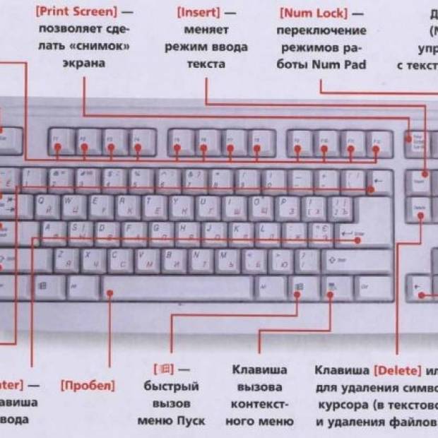 Значение клавиш f1 - f12 на клавиатуре компьютера | как настроить?