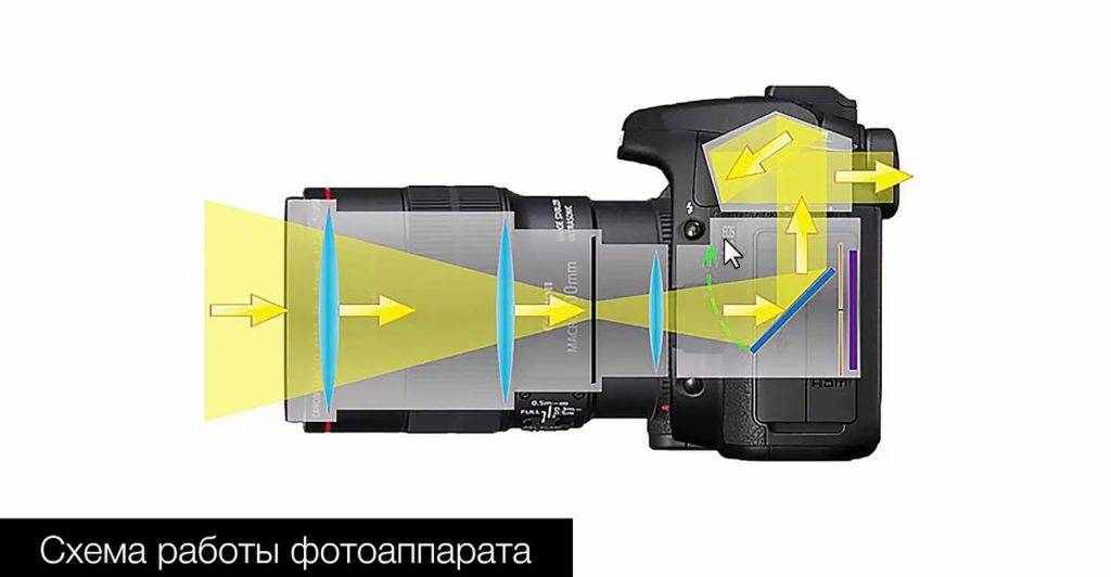 Схема устройства цифрового фотоаппарата