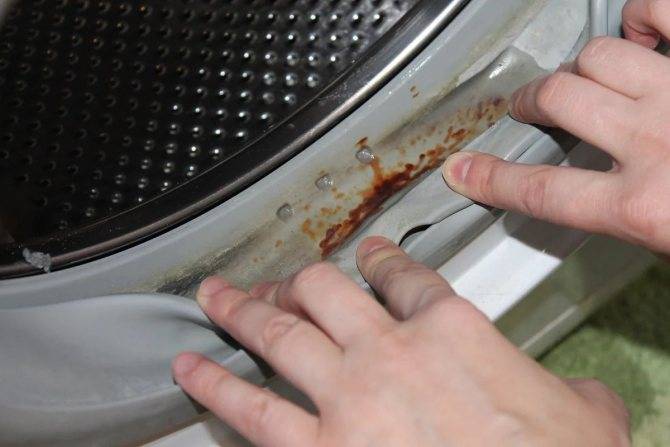 Незаметный вред: плесень в стиральных и посудомоечных машинах | энтеросгель