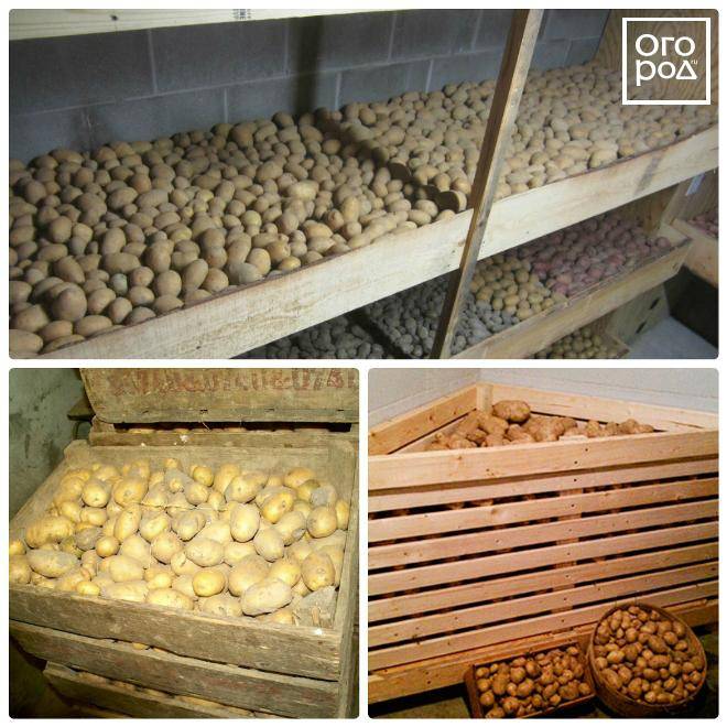 Как хранить картофель в квартире, в доме: условия