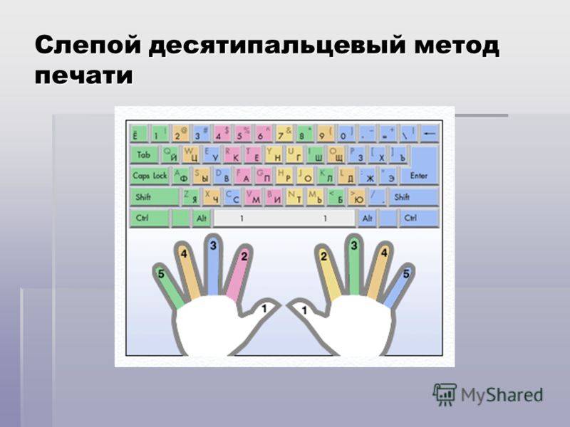 Печатать вслепую на клавиатуре. Слепой десятипальцевый метод печати. Расположение пальцев на клавиатуре. Слепая печать тренажер. Десятипальцевый метод печати схема.