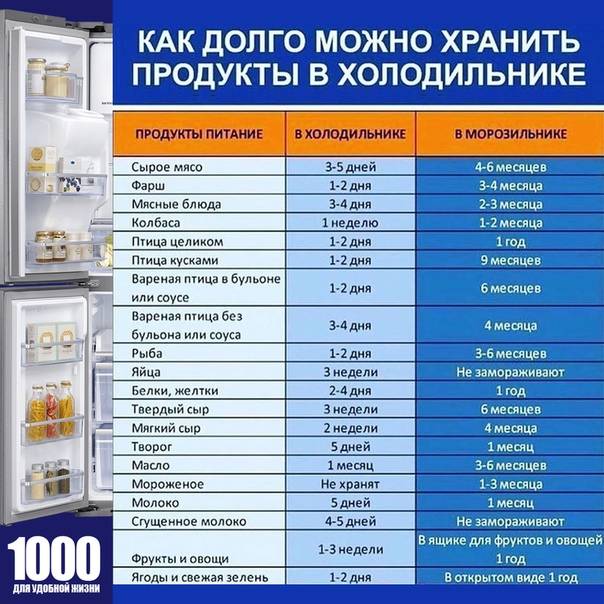 Правила разморозки морозильной камеры в холодильнике: время и периодичность разморозки, методы и запреты, пошаговая инструкция