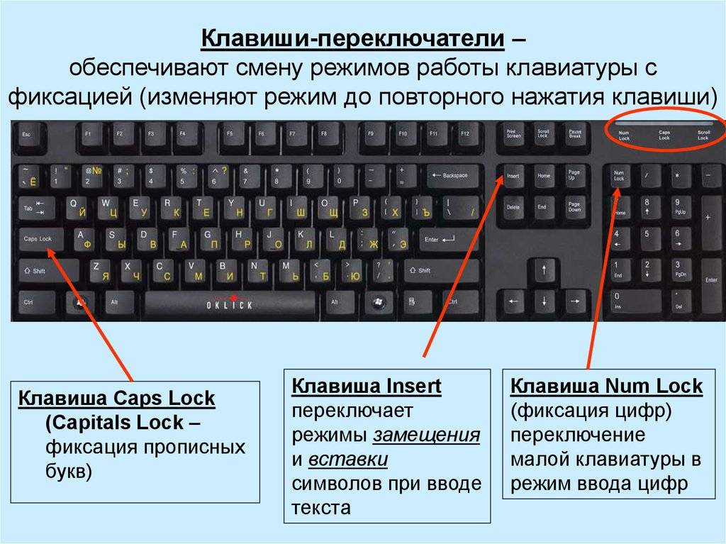 Назначение клавиш клавиатуры ноутбука, их описание и фото расположение