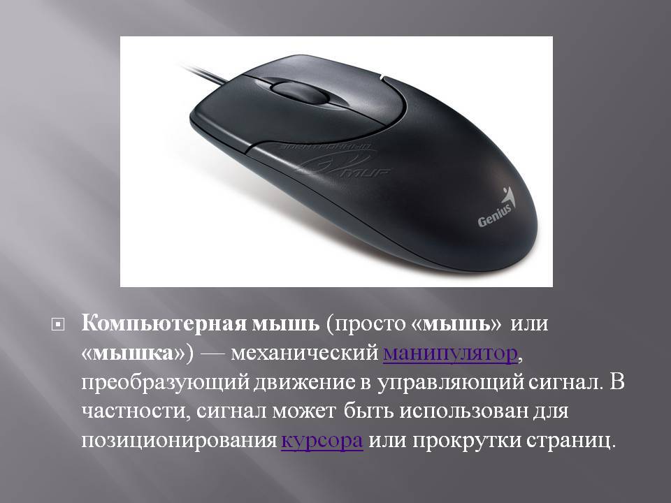 Классификация типов компьютерных мышек
