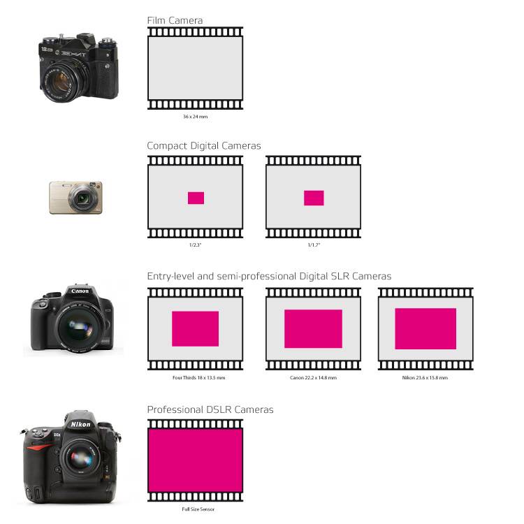 Виды фотоаппаратов и их различия