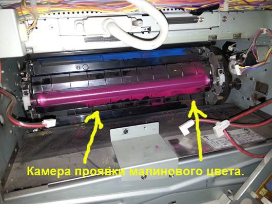 Почему принтер мажет листы при печати: что делать, как исправить