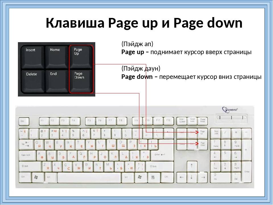 Как пользоваться нажатом. Page down на клавиатуре. Page up на клавиатуре. Page up Page down на клавиатуре. Кнопка PAGEDOWN на клавиатуре.