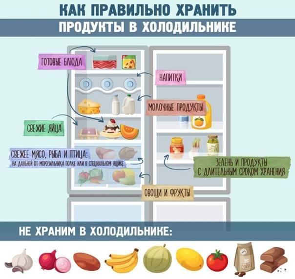 Где в холодильниках самое холодное место — сверху или снизу