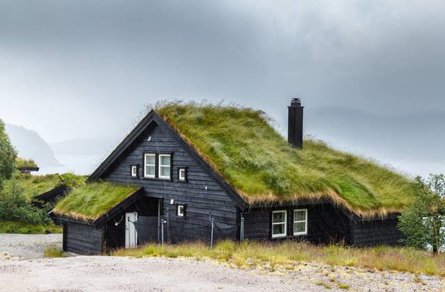 15 сказочных скандинавских домиков с «зелёными» крышами