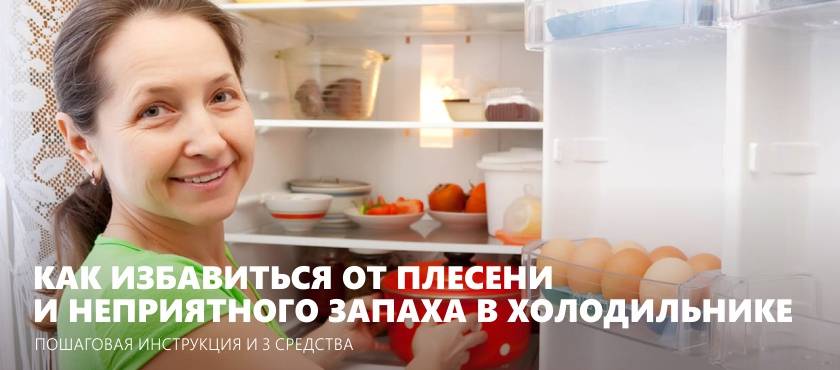 Простые способы уничтожения запаха в холодильнике