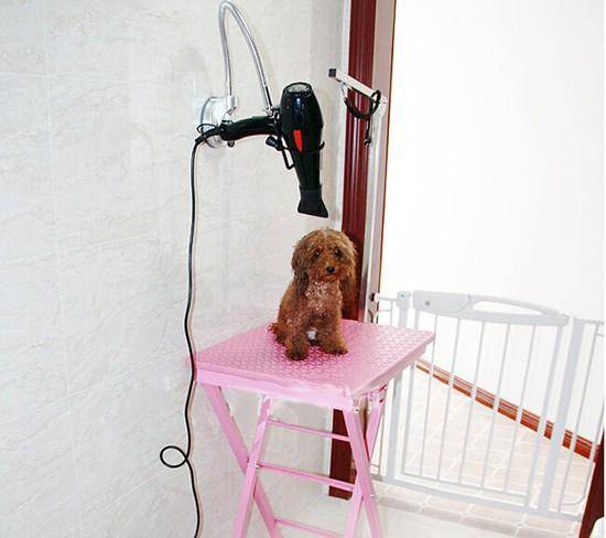Стол для груминга и стрижки собак: раскладные и сделанные своими руками