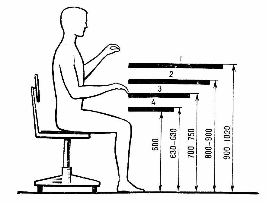 Стандартные размеры письменных и ученических столов, нормативы высоты