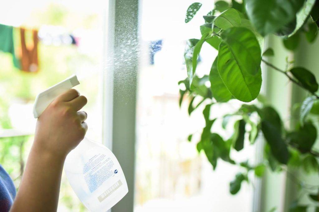 Как освежить воздух в квартире: 9 способов улучшить запах дома
