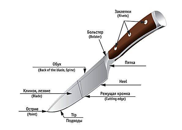 Давление лезвия ножа. Наименование основных конструктивных элементов ножа. Схема кухонного ножа криминалистика. Чертеж клинка ножа пчак. Конструктивные элементы ножа криминалистика.