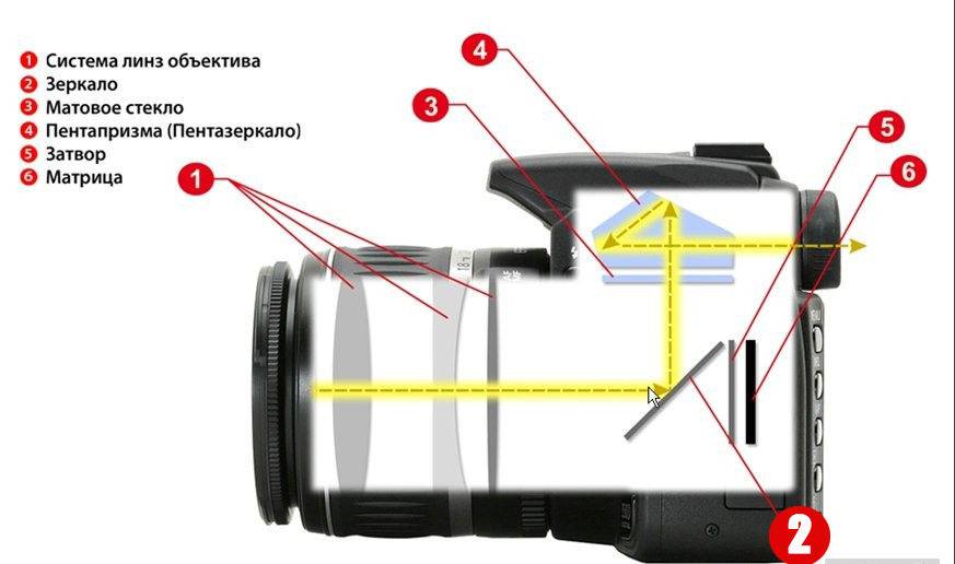 Схема устройства цифрового фотоаппарата