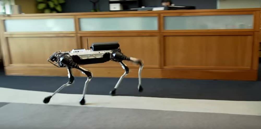 25 доказательств того, что роботы-пылесосы — те еще проказники (26 фото) ► последние новости