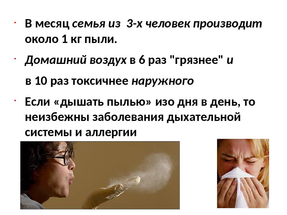 Б г пыль. Вредная пыль. Презентация на тему влияние пыли на человека. Избавление от пыли. Влияние домашней пыли на здоровье человека.