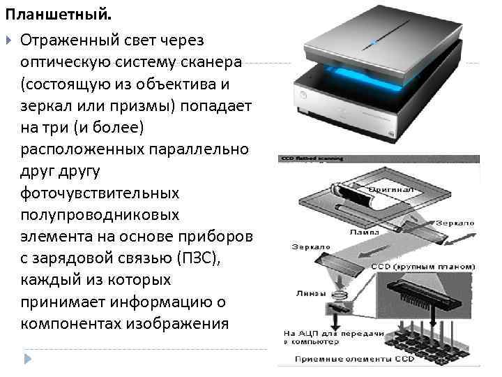 Определи способы получения графического цифрового изображения выбрав верные ответы сканер