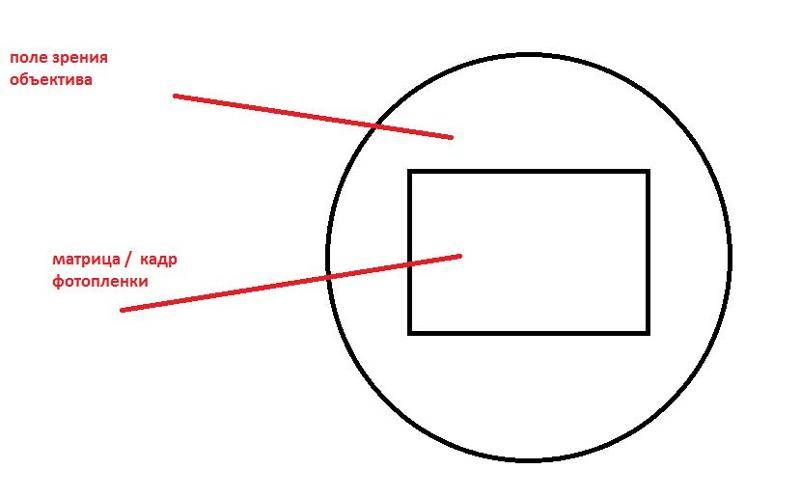 Почему объектив круглый а фото квадратное