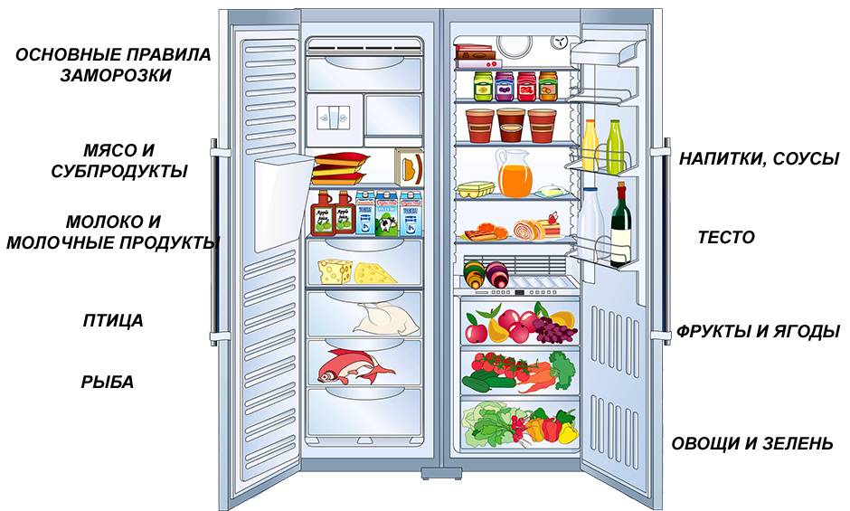 Температура в холодильнике, или где его самое холодное место?