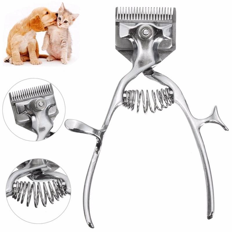 Как правильно подстригать кота в домашних условиях: раскладываем по пунктам