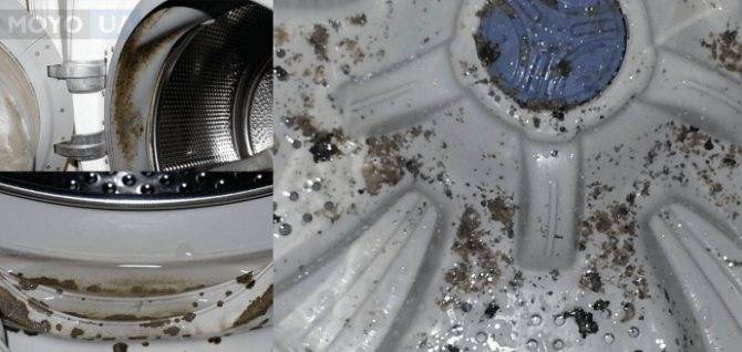 Плесень в стиральной машине: как избавиться, средства для очистки от затхлого запаха, грязи, черного грибка и налета